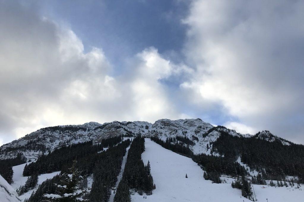 CB2F8AC8-ACF7-4A83-AF4B-8E5D70C07565_1_105_c